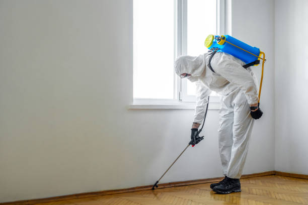 Insect Control in Burien, WA