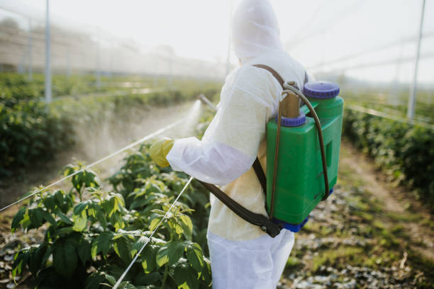 Best Mosquito Control Services  in Burien, WA